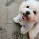 헬로그루밍 이미지