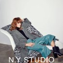 비지트 인 뉴욕 이미지