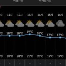 신대리 Daum카페
