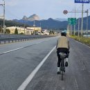 벚꽃향기민박 이미지