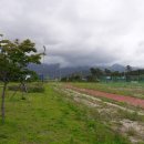 거진종합운동장 이미지