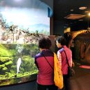 단양-단양-05 이미지