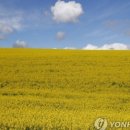 학자농장 이미지