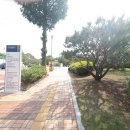 2025100380_황시준_1차 기말촬영 이미지