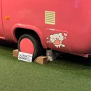 경주 여행 코스 | 경주 동궁원, 정글미디어파크 / 경주 벚꽃 개화상황 및 명소추천