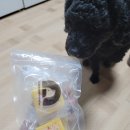 페이보리잇 이미지