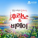 삿포로 다이마루백화점 포켓몬 샵과 맛있는 점심 Robata Ginshari Wine OWL 이미지