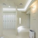 필라이브필라테스강남