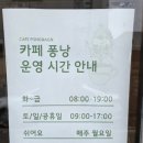 카페퐁낭