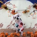 멍앤리치 이미지