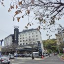 호텔레인보우 이미지