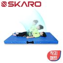 스카