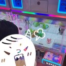 김복남 맥주 대구월배지구점