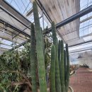 서부농업기술센터 이미지