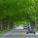 곡성-014 이미지