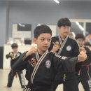 합기도 천하관 이미지
