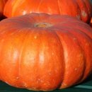 웰빙요리 이미지