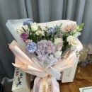 스테이인오아시스