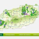 함덕, 수형 이미지