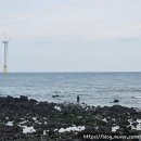 씨유 혼저옵서예점 이미지