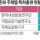 데이눈