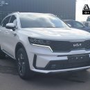 에이스지프 이미지