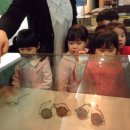 한길눈박물관 이미지