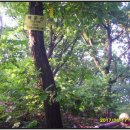 백운산갈비 이미지