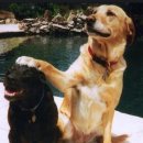 토닥토닥 이미지