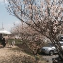 나드리다방 - 고양시 덕양구 토당로 137 | 나드리다방