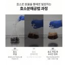 쯔읍해 효소 분해 흑마늘즙 진액 70ml x30 이미지