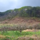 별마을 태양광발전소 이미지