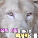 다금농장 이미지