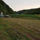 꿈의농장 이미지