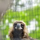 애보박물관 이미지