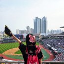 여름 야구 직관 필수템 준비물 가방 올스타전 대비