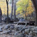 국립가리왕산자연휴양림 이미지