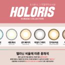 렌즈미 이미지