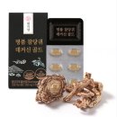 인지건강(치미예방) 네이버블로그