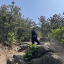 매송체육공원 이미지