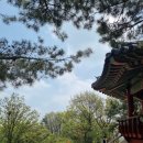 광명 구름산