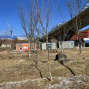 합강캠핑장(프리캠핑존) 이미지