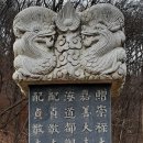 김감 Daum카페