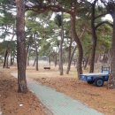 천진초등학교병설유치원 이미지