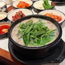 담원한상 | 강남역 국밥 맛집 찾는다면? 담원순대 n번째 방문 후기