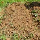 망월묘지공원(관리사무소) 이미지