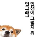 담주 다담주 단지들을 기다리고 환영하는 그것! 이미지