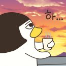 봉황고등학교