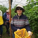 민재농장 이미지