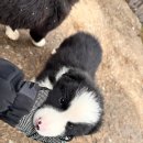 일명농장 이미지